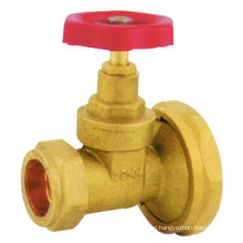 J1007 pn16 Brass gate valve with bypass/ compression gate valve